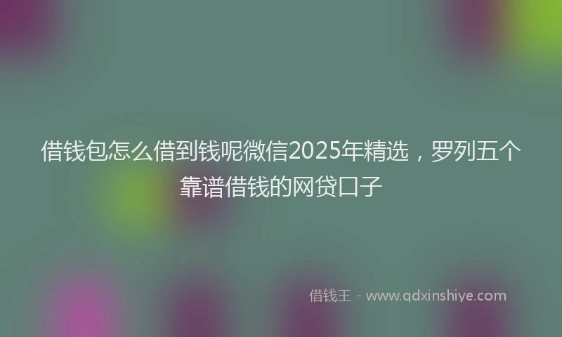 借钱包怎么借到钱呢微信2025年精选，罗列五个靠谱借钱的网贷口子