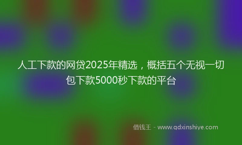 人工下款的网贷2025年精选，概括五个无视一切包下款5000秒下款的平台