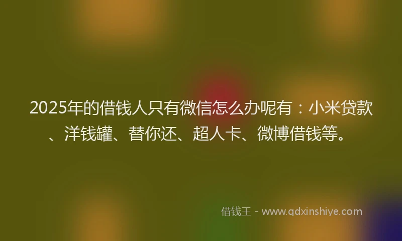 2025年的借钱人只有微信怎么办呢有：小米贷款、洋钱罐、替你还、超人卡、微博借钱等。