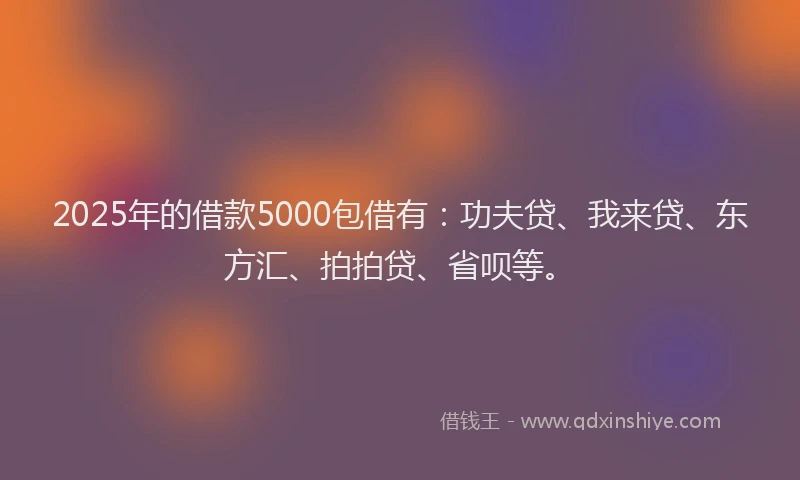2025年的借款5000包借有：功夫贷、我来贷、东方汇、拍拍贷、省呗等。