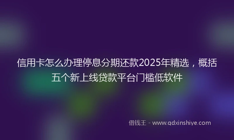 信用卡怎么办理停息分期还款2025年精选，概括五个新上线贷款平台门槛低软件