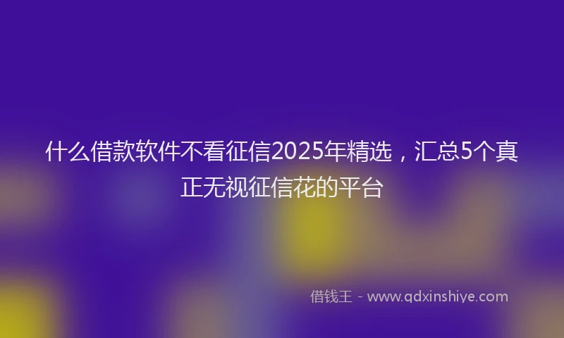什么借款软件不看征信2025年精选，汇总5个真正无视征信花的平台