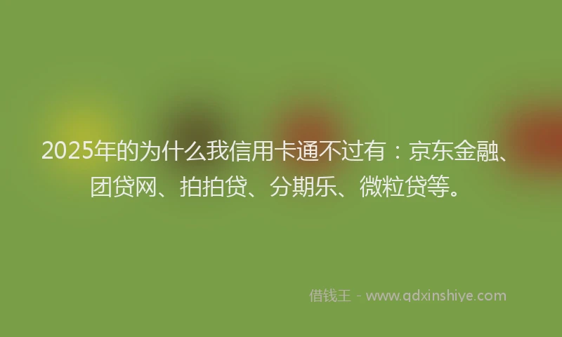 2025年的为什么我信用卡通不过有：京东金融、团贷网、拍拍贷、分期乐、微粒贷等。