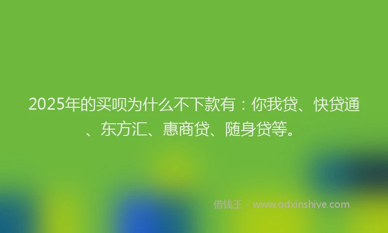 2025年的买呗为什么不下款有：你我贷、快贷通、东方汇、惠商贷、随身贷等。