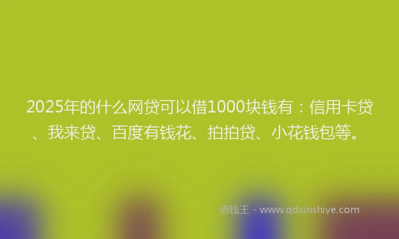 2025年的什么网贷可以借1000块钱有：信用卡贷、我来贷、百度有钱花、拍拍贷、小花钱包等。