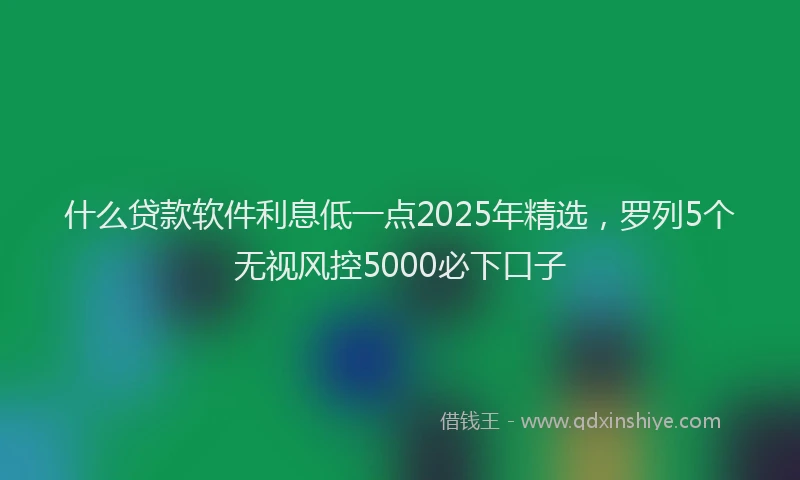 什么贷款软件利息低一点2025年精选，罗列5个无视风控5000必下口子