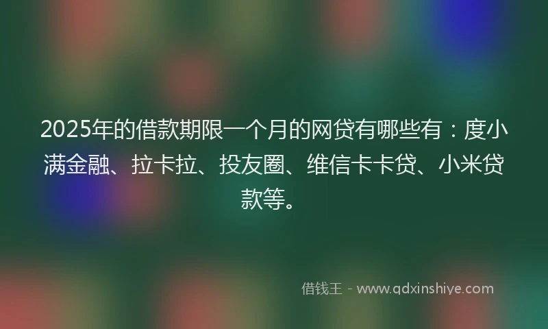 2025年的借款期限一个月的网贷有哪些有：度小满金融、拉卡拉、投友圈、维信卡卡贷、小米贷款等。