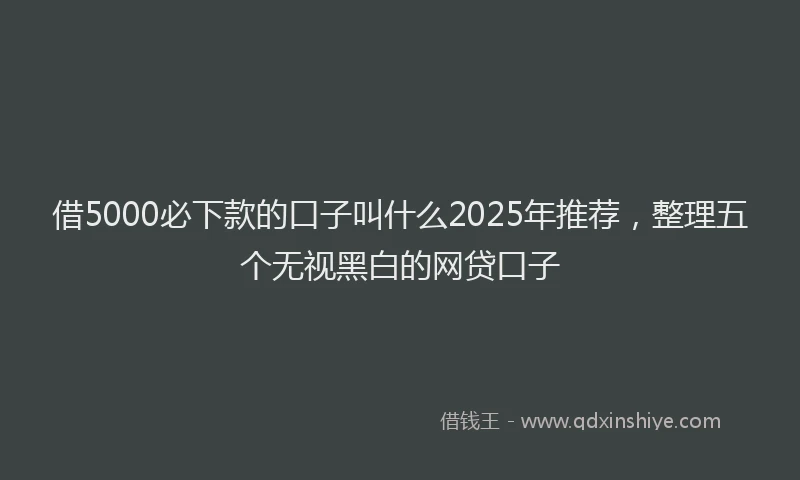 借5000必下款的口子叫什么2025年推荐，整理五个无视黑白的网贷口子