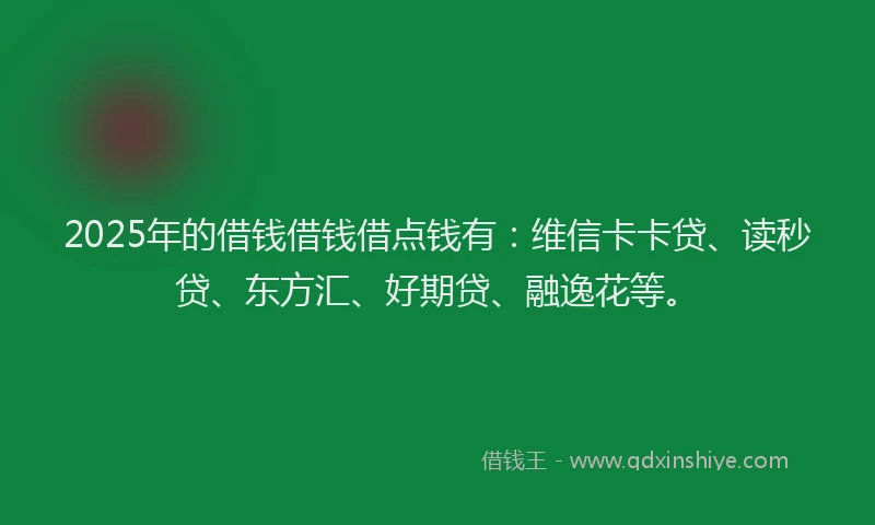 2025年的借钱借钱借点钱有：维信卡卡贷、读秒贷、东方汇、好期贷、融逸花等。
