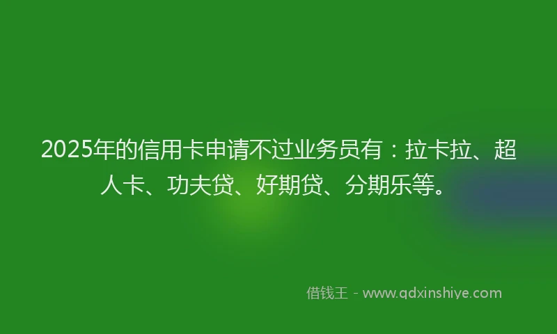 2025年的信用卡申请不过业务员有：拉卡拉、超人卡、功夫贷、好期贷、分期乐等。