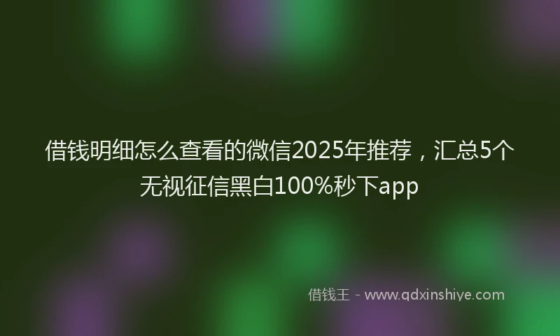 借钱明细怎么查看的微信2025年推荐，汇总5个无视征信黑白100%秒下app