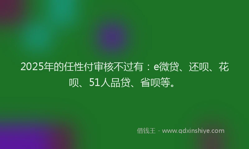 2025年的任性付审核不过有：e微贷、还呗、花呗、51人品贷、省呗等。