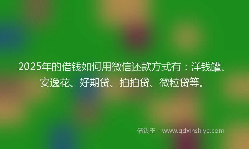 2025年的借钱如何用微信还款方式有：洋钱罐、安逸花、好期贷、拍拍贷、微粒贷等。