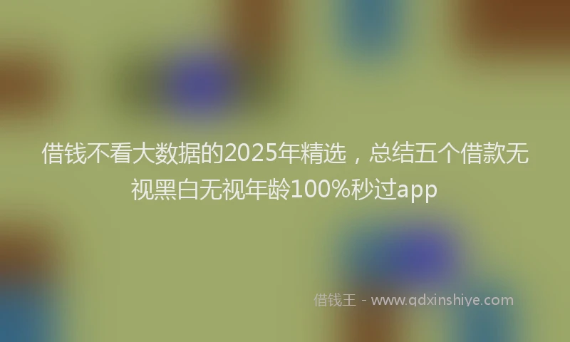 借钱不看大数据的2025年精选，总结五个借款无视黑白无视年龄100%秒过app