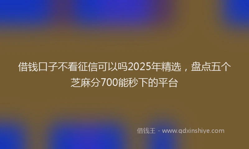 借钱口子不看征信可以吗2025年精选，盘点五个芝麻分700能秒下的平台