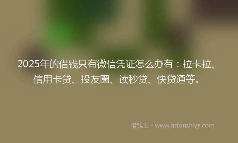 2025年的借钱只有微信凭证怎么办有：拉卡拉、信用卡贷、投友圈、读秒贷、快贷通等。
