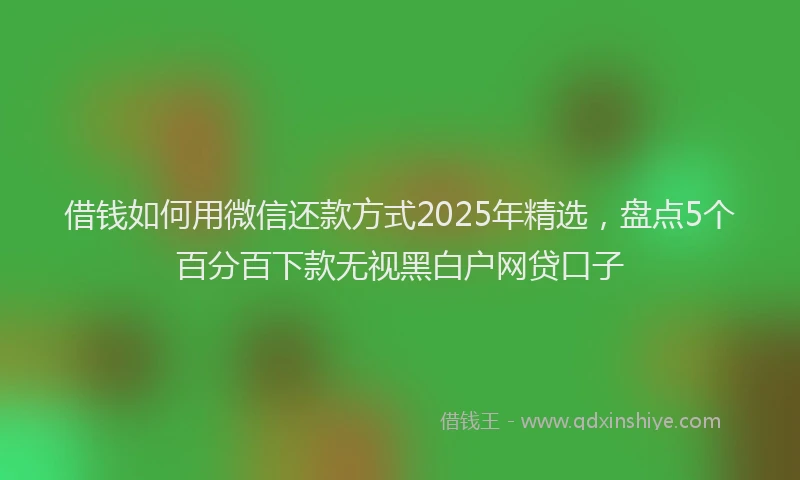 借钱如何用微信还款方式2025年精选，盘点5个百分百下款无视黑白户网贷口子
