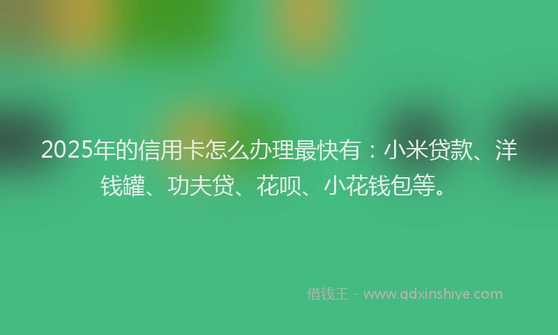 2025年的信用卡怎么办理最快有：小米贷款、洋钱罐、功夫贷、花呗、小花钱包等。