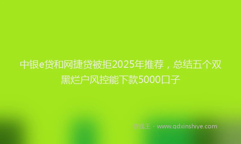 中银e贷和网捷贷被拒2025年推荐，总结五个双黑烂户风控能下款5000口子