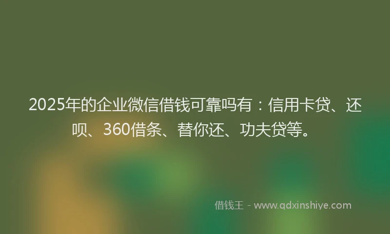 2025年的企业微信借钱可靠吗有：信用卡贷、还呗、360借条、替你还、功夫贷等。