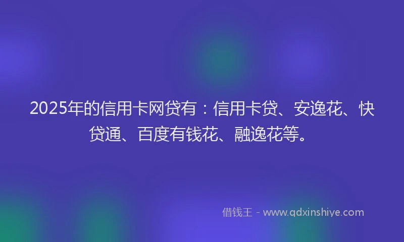 2025年的信用卡网贷有：信用卡贷、安逸花、快贷通、百度有钱花、融逸花等。