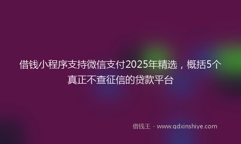 借钱小程序支持微信支付2025年精选，概括5个真正不查征信的贷款平台