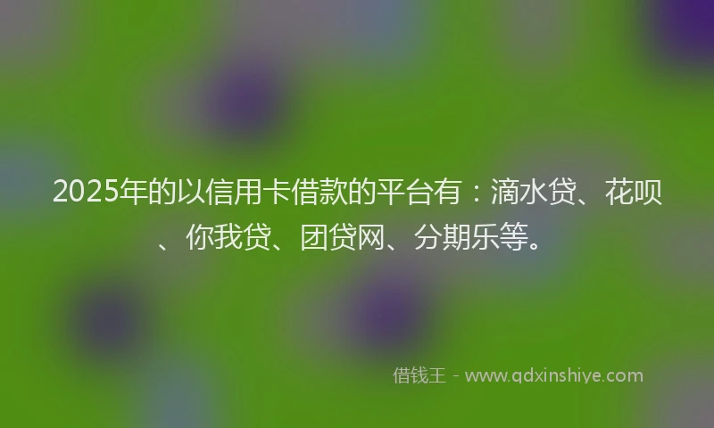 2025年的以信用卡借款的平台有：滴水贷、花呗、你我贷、团贷网、分期乐等。