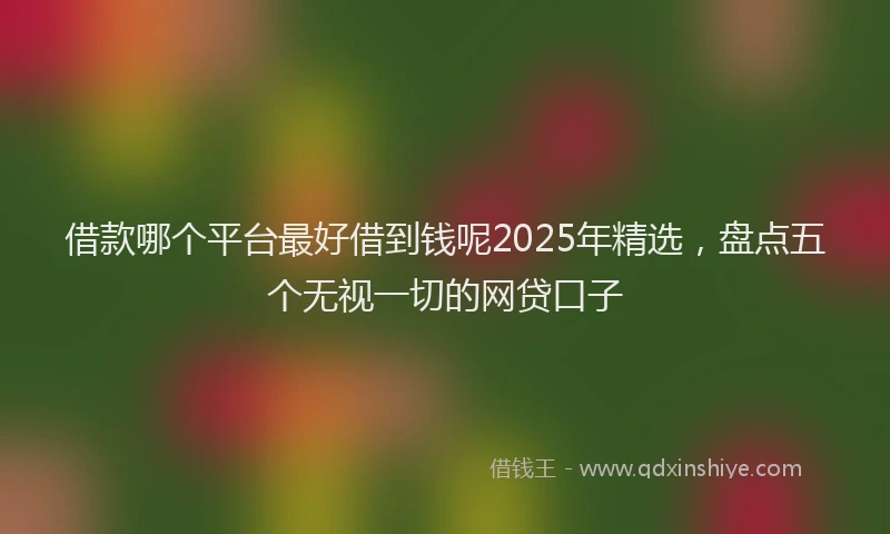 借款哪个平台最好借到钱呢2025年精选，盘点五个无视一切的网贷口子