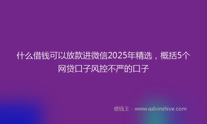 什么借钱可以放款进微信2025年精选，概括5个网贷口子风控不严的口子