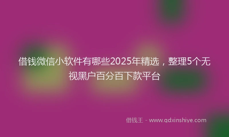 借钱微信小软件有哪些2025年精选，整理5个无视黑户百分百下款平台