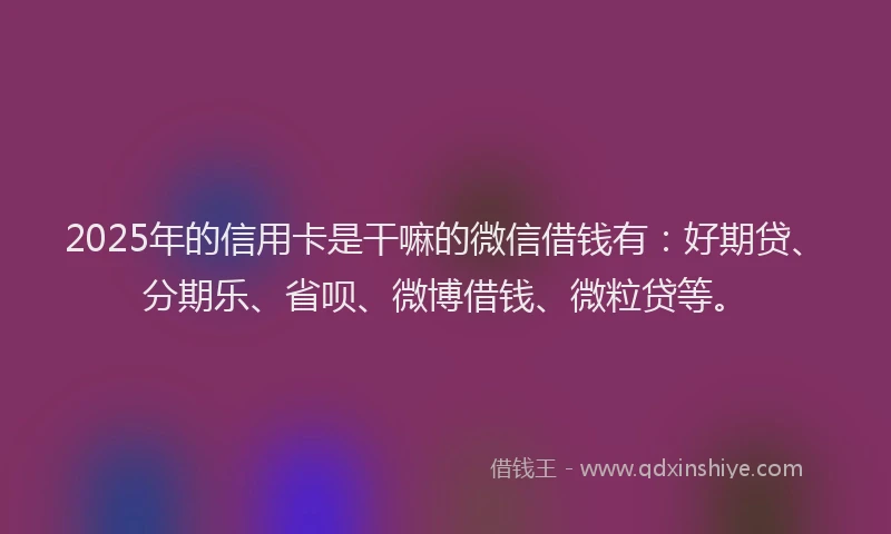 2025年的信用卡是干嘛的微信借钱有：好期贷、分期乐、省呗、微博借钱、微粒贷等。