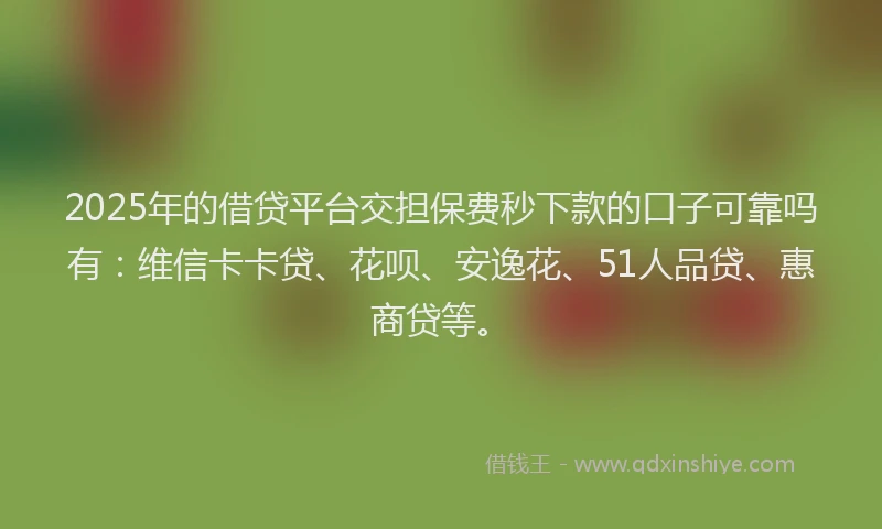 2025年的借贷平台交担保费秒下款的口子可靠吗有：维信卡卡贷、花呗、安逸花、51人品贷、惠商贷等。