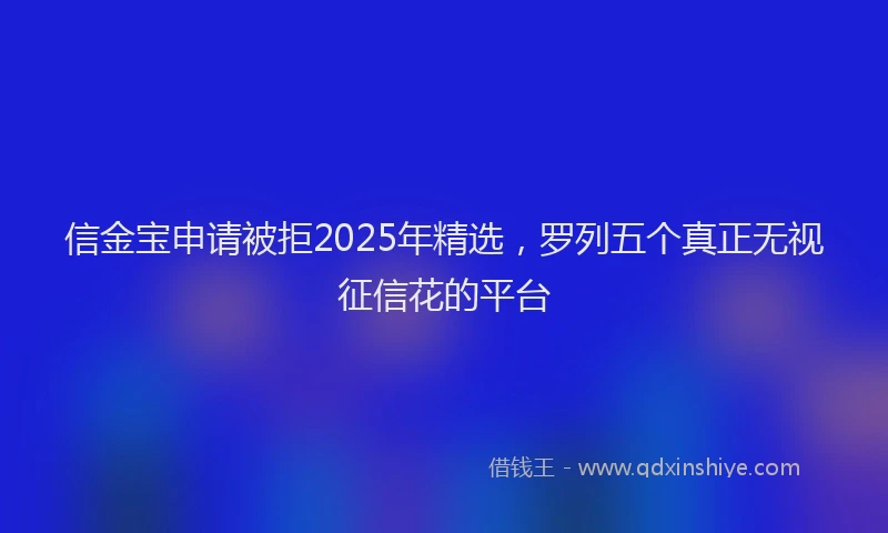 信金宝申请被拒2025年精选，罗列五个真正无视征信花的平台