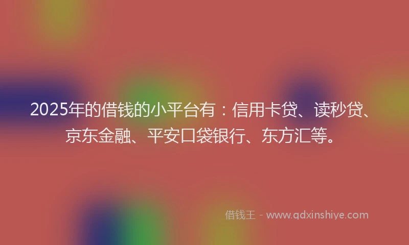 2025年的借钱的小平台有：信用卡贷、读秒贷、京东金融、平安口袋银行、东方汇等。