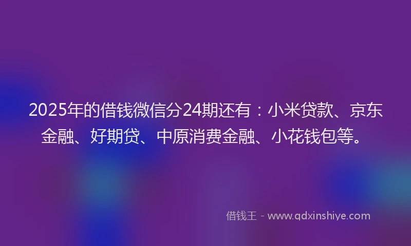 2025年的借钱微信分24期还有：小米贷款、京东金融、好期贷、中原消费金融、小花钱包等。