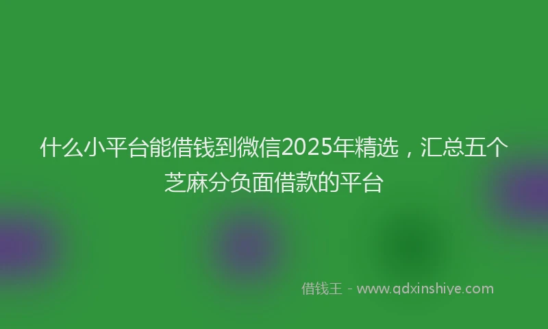 什么小平台能借钱到微信2025年精选，汇总五个芝麻分负面借款的平台