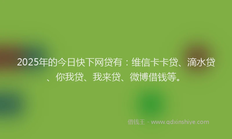 2025年的今日快下网贷有：维信卡卡贷、滴水贷、你我贷、我来贷、微博借钱等。