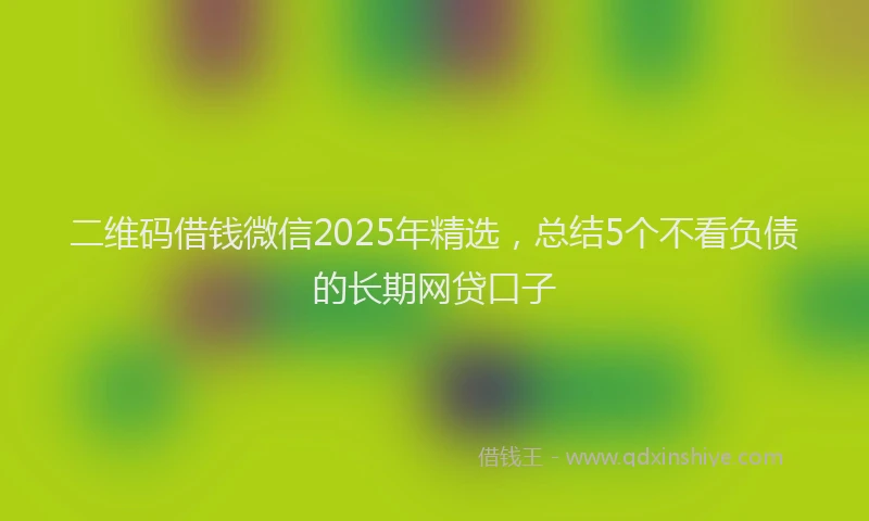 二维码借钱微信2025年精选，总结5个不看负债的长期网贷口子