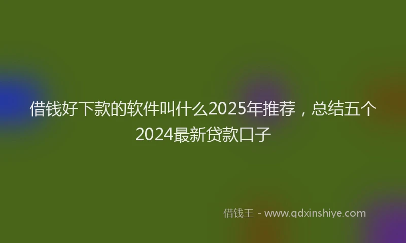 借钱好下款的软件叫什么2025年推荐，总结五个2024最新贷款口子