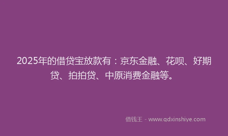 2025年的借贷宝放款有：京东金融、花呗、好期贷、拍拍贷、中原消费金融等。
