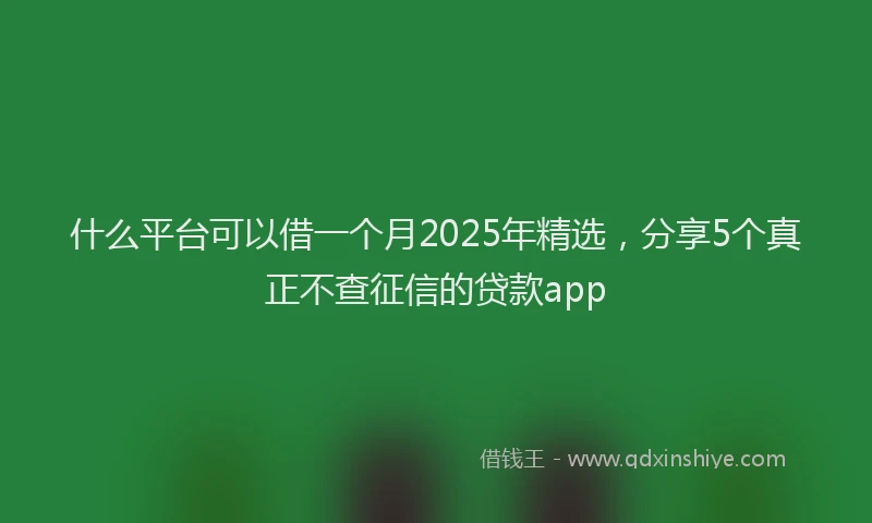 什么平台可以借一个月2025年精选，分享5个真正不查征信的贷款app