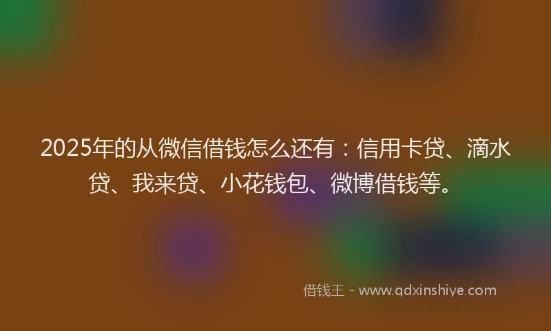 2025年的从微信借钱怎么还有：信用卡贷、滴水贷、我来贷、小花钱包、微博借钱等。