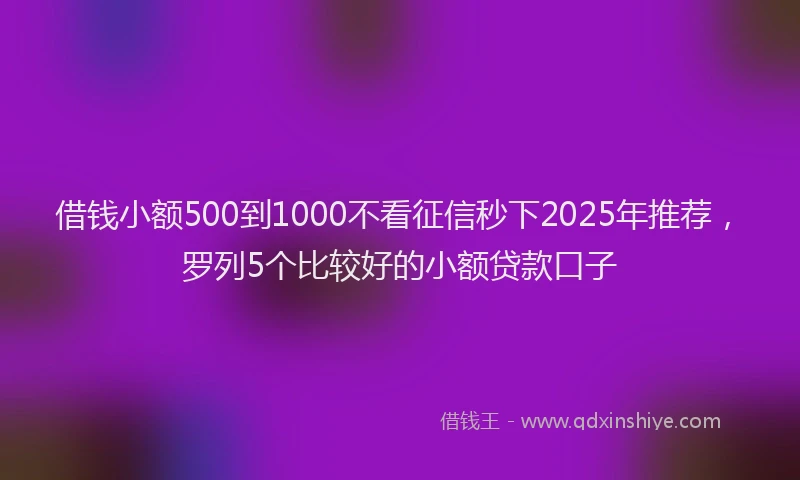 借钱小额500到1000不看征信秒下2025年推荐，罗列5个比较好的小额贷款口子