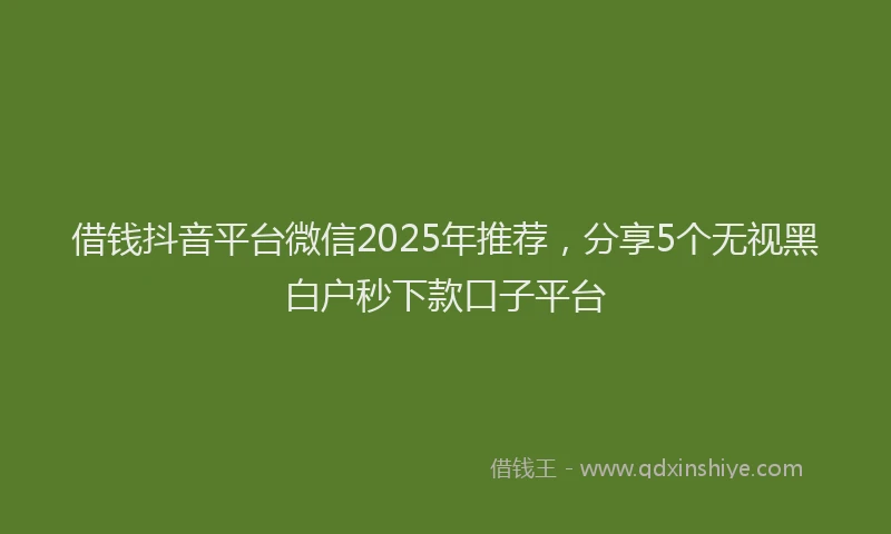 借钱抖音平台微信2025年推荐，分享5个无视黑白户秒下款口子平台