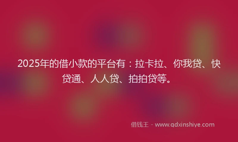 2025年的借小款的平台有：拉卡拉、你我贷、快贷通、人人贷、拍拍贷等。