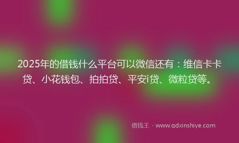 2025年的借钱什么平台可以微信还有：维信卡卡贷、小花钱包、拍拍贷、平安i贷、微粒贷等。