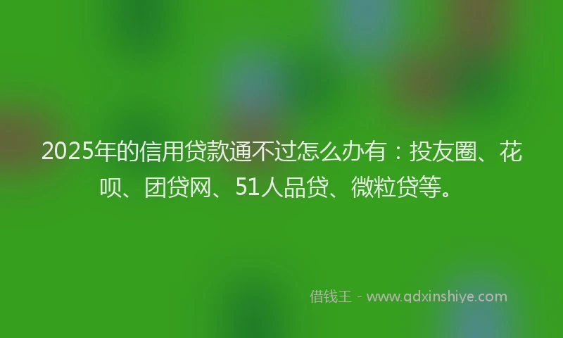 2025年的信用贷款通不过怎么办有：投友圈、花呗、团贷网、51人品贷、微粒贷等。