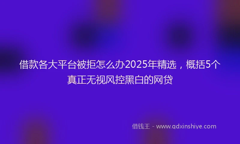 借款各大平台被拒怎么办2025年精选，概括5个真正无视风控黑白的网贷