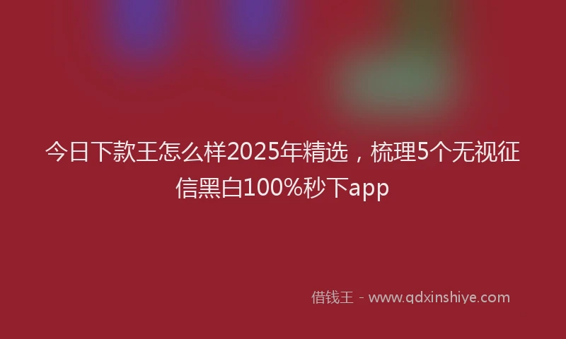 今日下款王怎么样2025年精选，梳理5个无视征信黑白100%秒下app