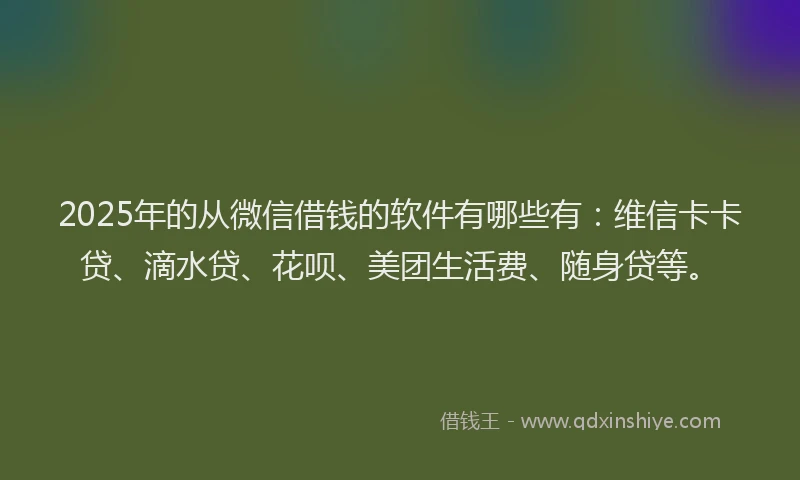 2025年的从微信借钱的软件有哪些有：维信卡卡贷、滴水贷、花呗、美团生活费、随身贷等。